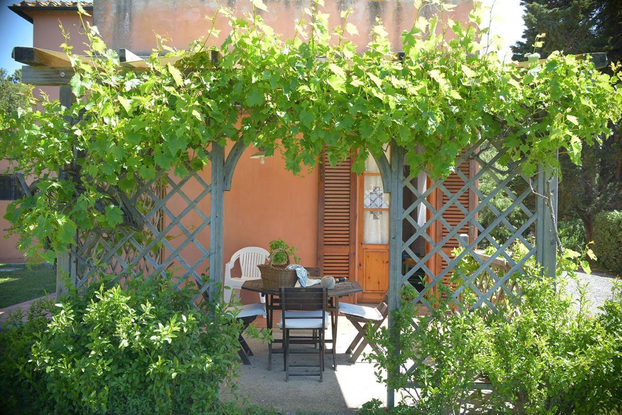 Agriturismo Le Cerbonche Rosignano Marittimo Ngoại thất bức ảnh