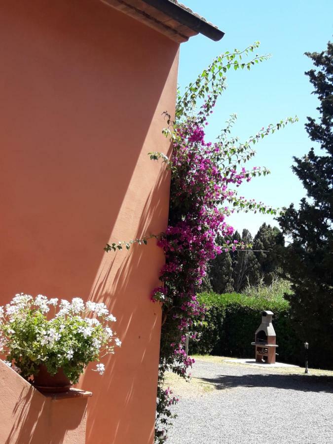 Agriturismo Le Cerbonche Rosignano Marittimo Ngoại thất bức ảnh